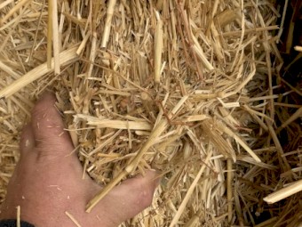 600mt Wheaten Straw 500kg 8x4x3 Bales (22/23 Season)