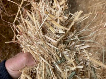 600mt Wheaten Straw 500kg 8x4x3 Bales (22/23 Season)