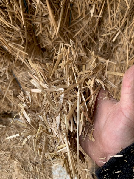 350mt Oaten Straw 550kg 8x4x3 Bales (22/23 Season)