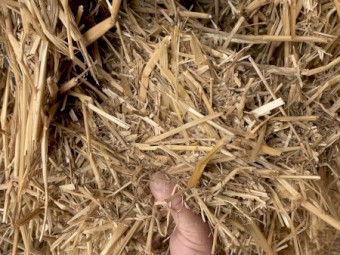 350mt Oaten Straw 550kg 8x4x3 Bales (22/23 Season)