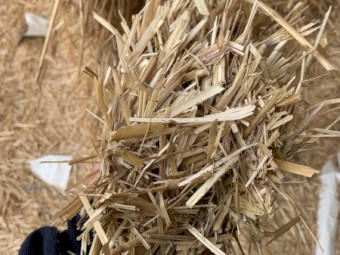 350mt Oaten Straw 550kg 8x4x3 Bales (22/23 Season)