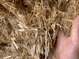 350mt Oaten Straw 550kg 8x4x3 Bales (22/23 Season)
