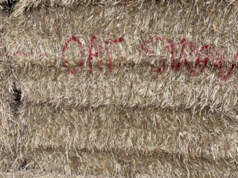350mt Oaten Straw 550kg 8x4x3 Bales (22/23 Season)