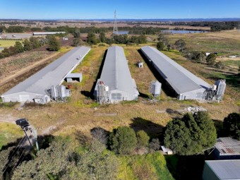 Farming Chicken Shed 16m x Length 120m