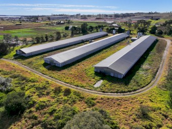 Farming Chicken Shed 16m x Length 120m