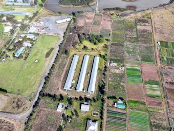 Farming Chicken Shed 16m x Length 120m