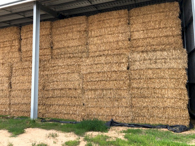 200mt Certified Organic Oaten Hay 8x4x3 Bales