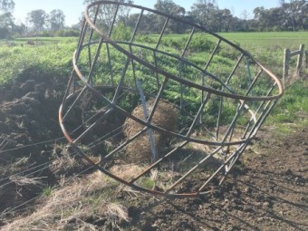 Hay rings