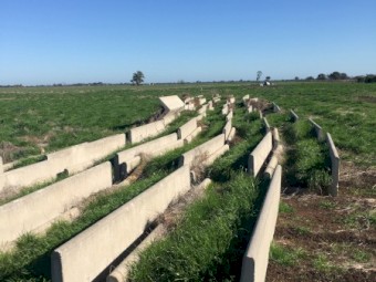 Concrete feed troughs