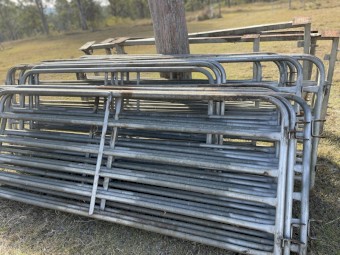 Sheep yard panels heavy duty galv + gate in panels bar sizes as description 