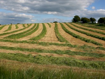 BaleTime Hay/Water combo