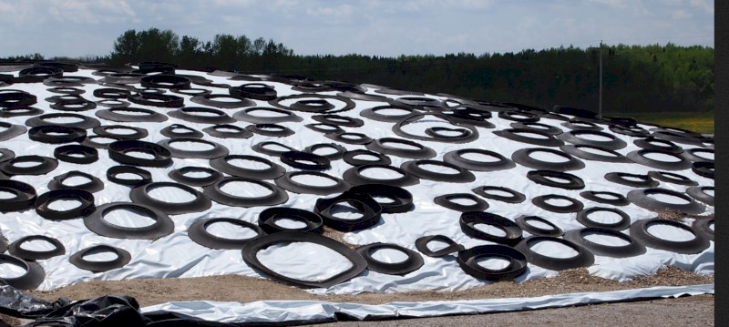 Silage cover weights & tree guards 