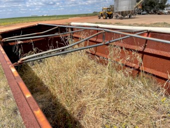 Wheat Bin
