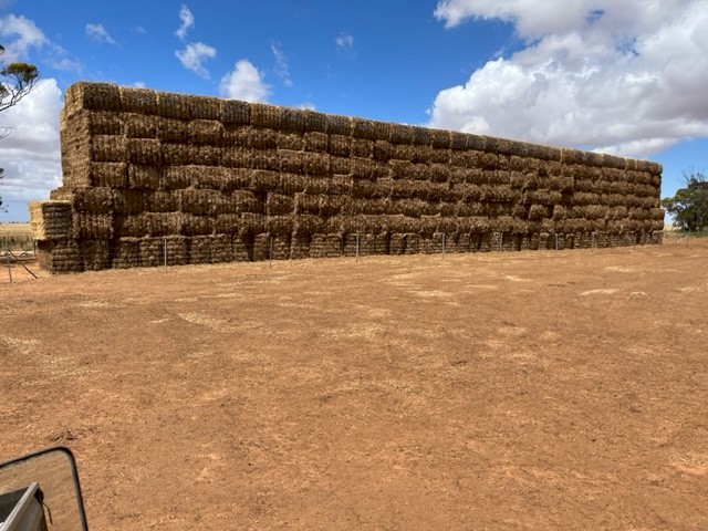 35mt Vetch Hay 580kg 8x4x3 Bales