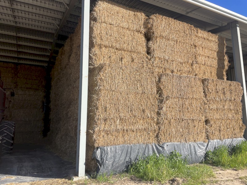 Oaten Hay 2022