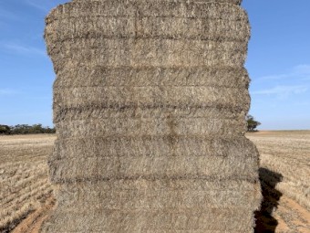 2020 Vetch Hay 140t