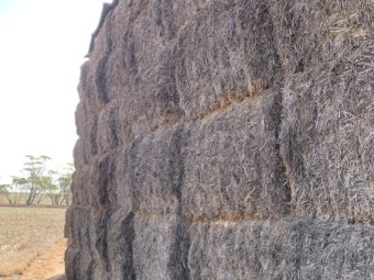 2020 Vetch Hay 140t