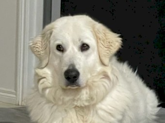 Maremma 