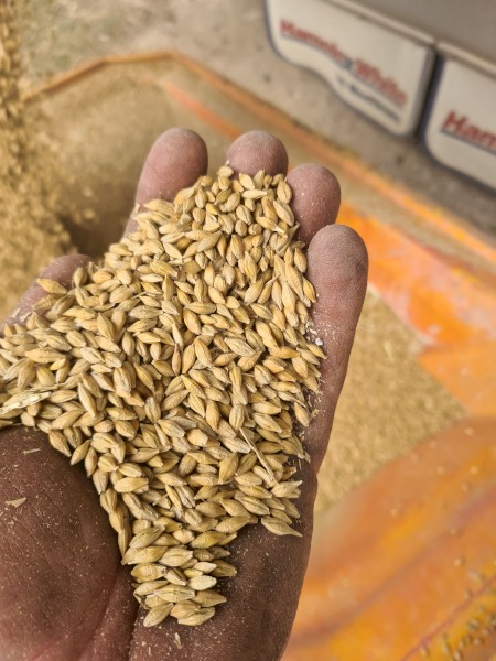 Planet Barley