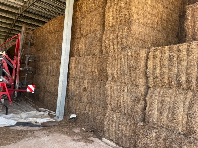 2022 Vetch Hay (500) bales