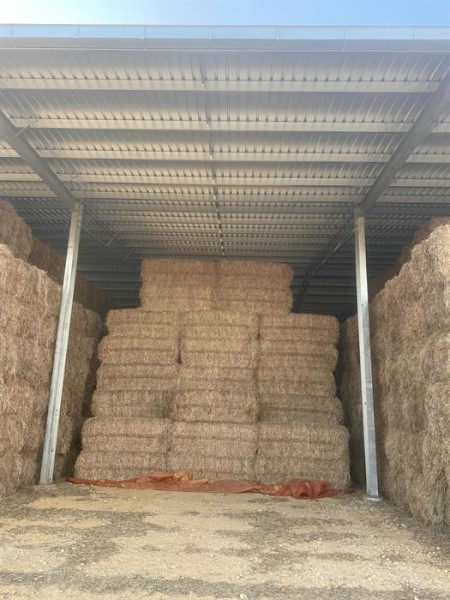 Clover ryegrass hay