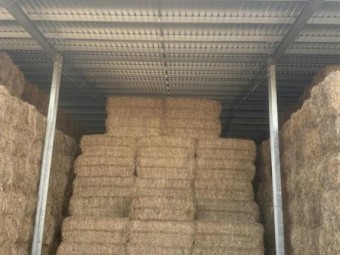 Clover ryegrass hay