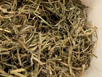 Clover ryegrass hay
