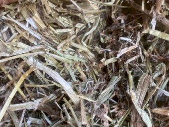Clover ryegrass hay