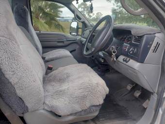 2002 Ford F 250 XL 4x4 ute ($40k No GST ONO)