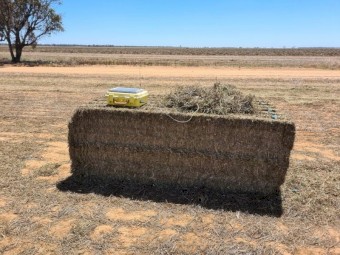 BaleTime Hay Humidity Monitor