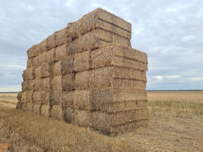 Long Cut wheat straw