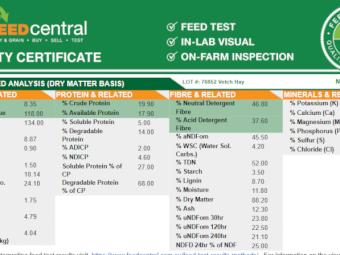 Vetch Hay 5x4 Rolls
