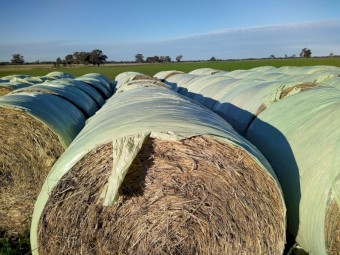 2 year old Oaten and Wheaten 5x4 Round Bales