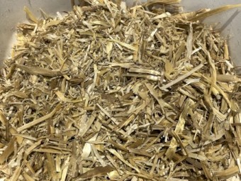 'Steamed' Header Trail Barley Straw