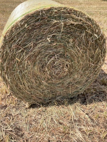 Prime  4*4 Oaten Hay Drop deck load of 44 bales