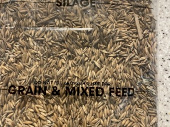 40mt Feed Oats