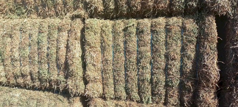 Vetch Hay 690kg 8x4x3 Bales