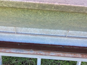Paton Grain Feeders