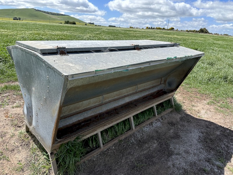 Sheep grain feeder