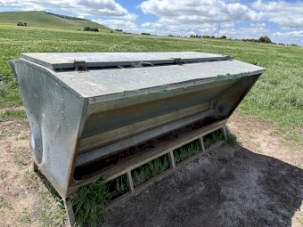 Sheep grain feeder