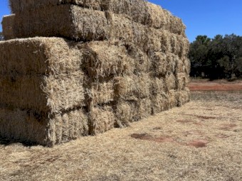 38mt Oaten and Vetch Hay 8x4x3