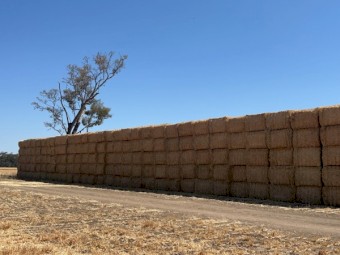 Wheat Straw 2023 season