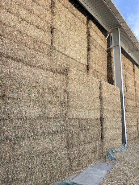 100mt Vetch Hay 8x4x3 Bales