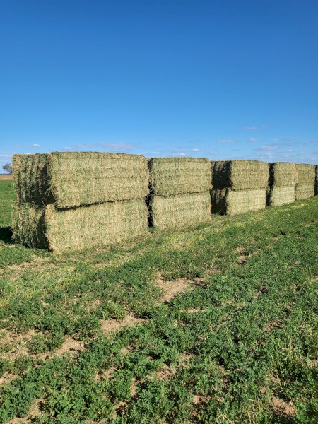 10mt Lucerne Hay 600kg 8x4x3 Bales