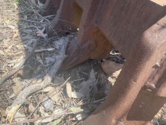 Dozer Stick Rake