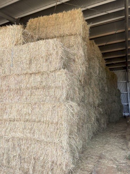 Oaten Hay 8x3x3 Bales