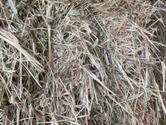 Oaten Hay 8x3x3 Bales