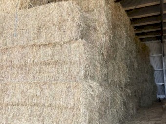 Oaten Hay 8x3x3 Bales