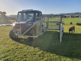 2023 Tassie Calf Catcher