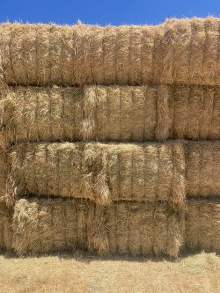 100mt Wheaten Hay 8x4x3 Bales